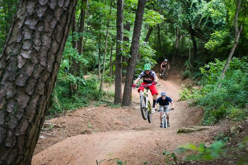 Greens estate hotsell mtb